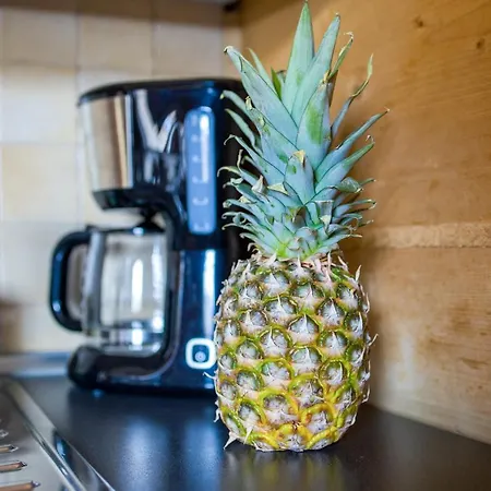 Domek alpejski Góralski Bliźniak Szałas Michalików Skibówki By Rentilopl