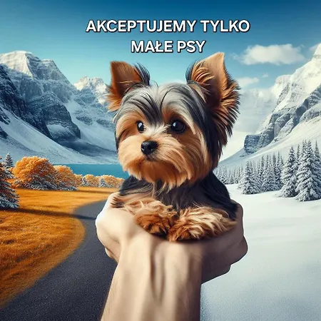 Goralski Blizniak Szalas Michalikow Skibowki By Rentilopl