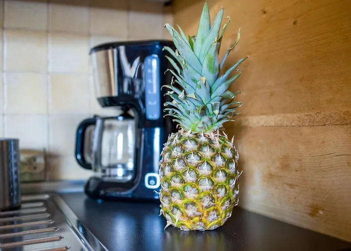 Alpesi faház Goralski Blizniak Szalas Michalikow Skibowki By Rentilopl